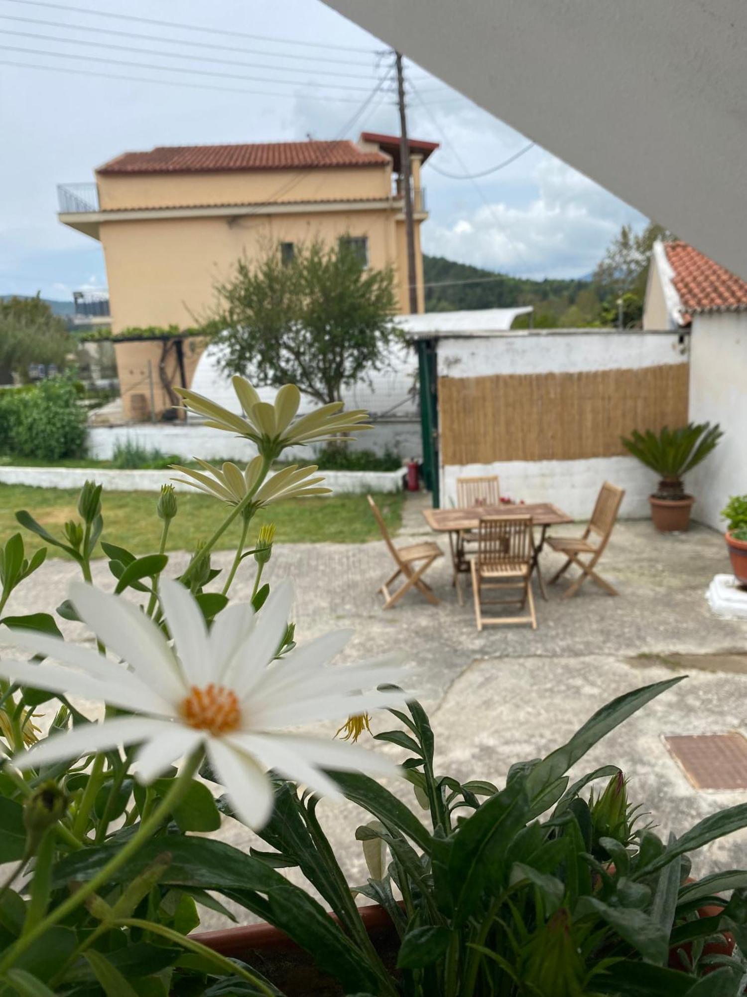 Navy Apartment With Mountain View &Private Parking Vatos Экстерьер фото